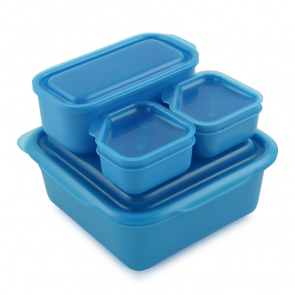 Goodbyn Portions on the Go - Blue