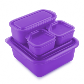 Goodbyn Portions on the Go - Purple