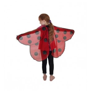 Dreamy Dress-Ups - Ladybird Wings