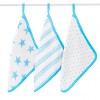 Aden + Anais - Scrub 3pk Washcloth Set - Fluro Blue